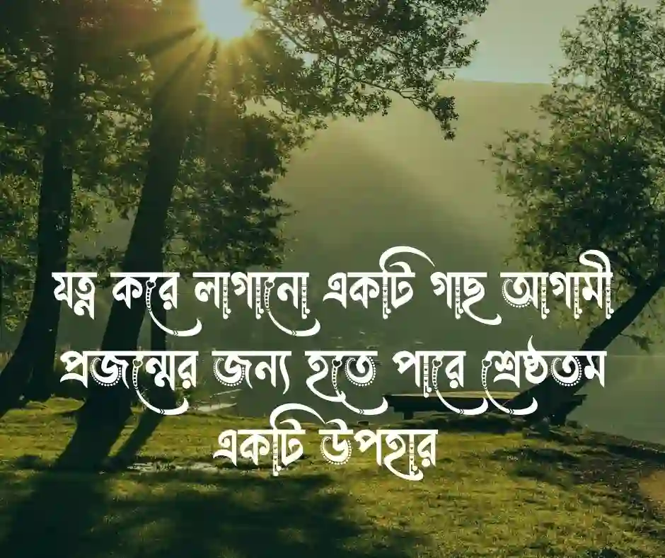 গাছের যত্ন নিয়ে ক্যাপশন