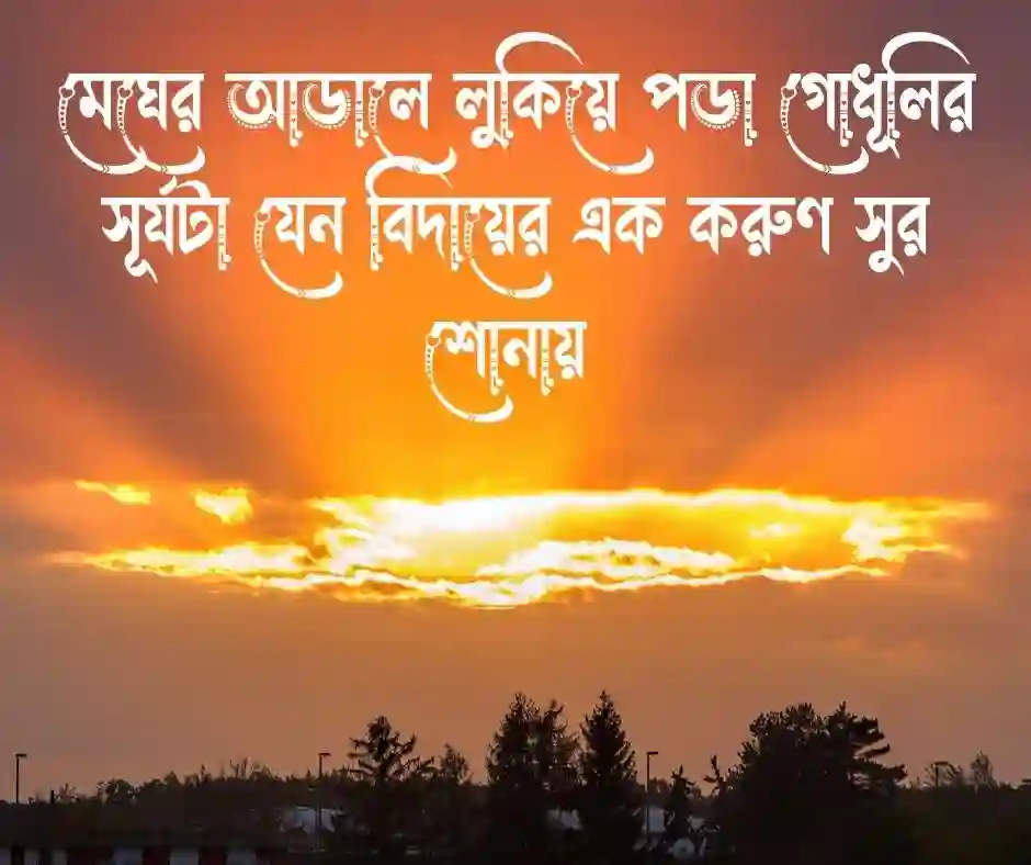 গোধূলি বিকেল নিয়ে ক্যাপশন (1)