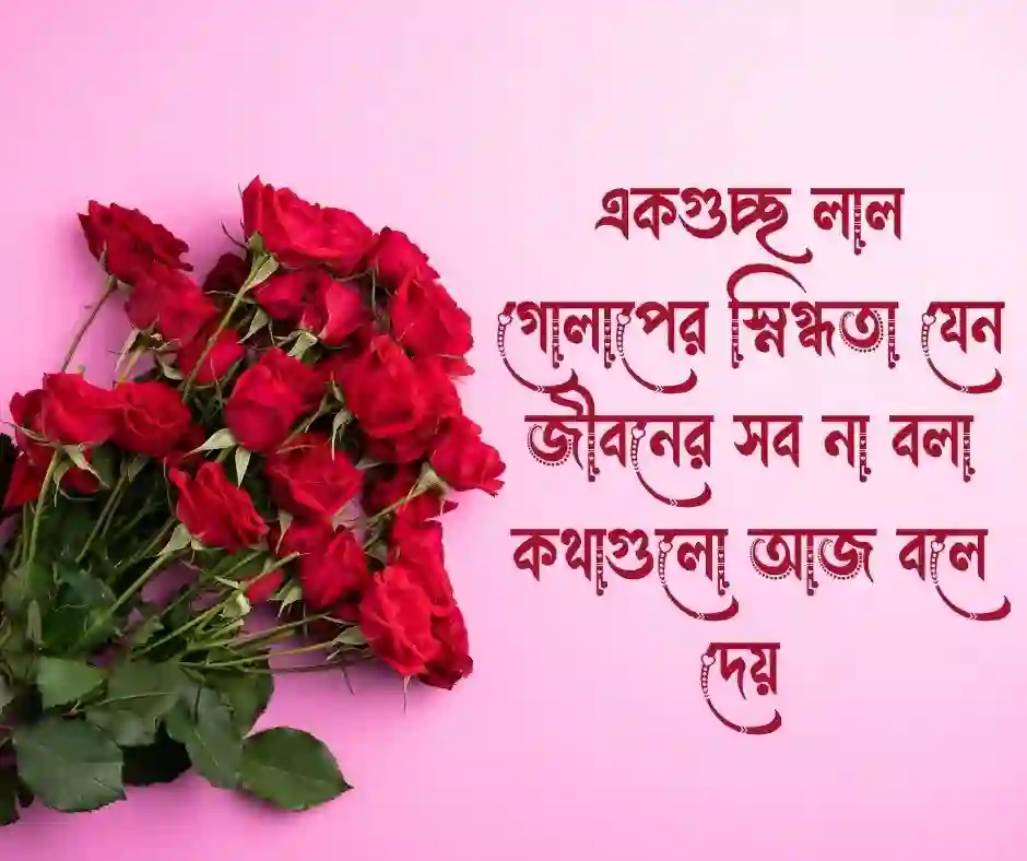 গোলাপ ফুল নিয়ে ক্যাপশন (1)