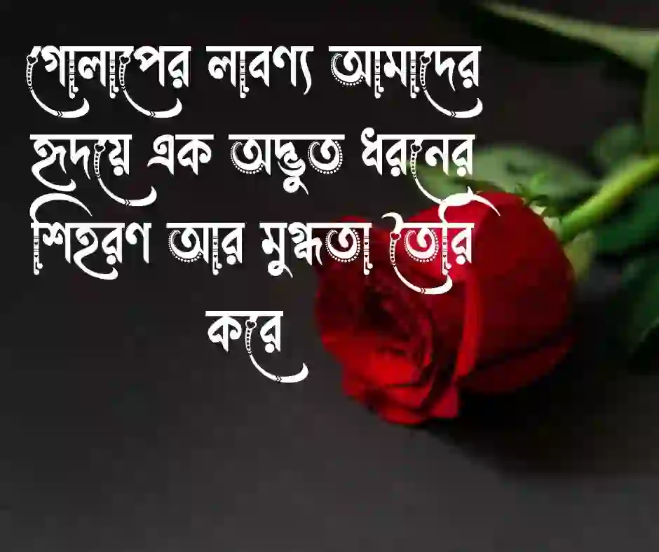 গোলাপ ফুল নিয়ে ক্যাপশন (2)