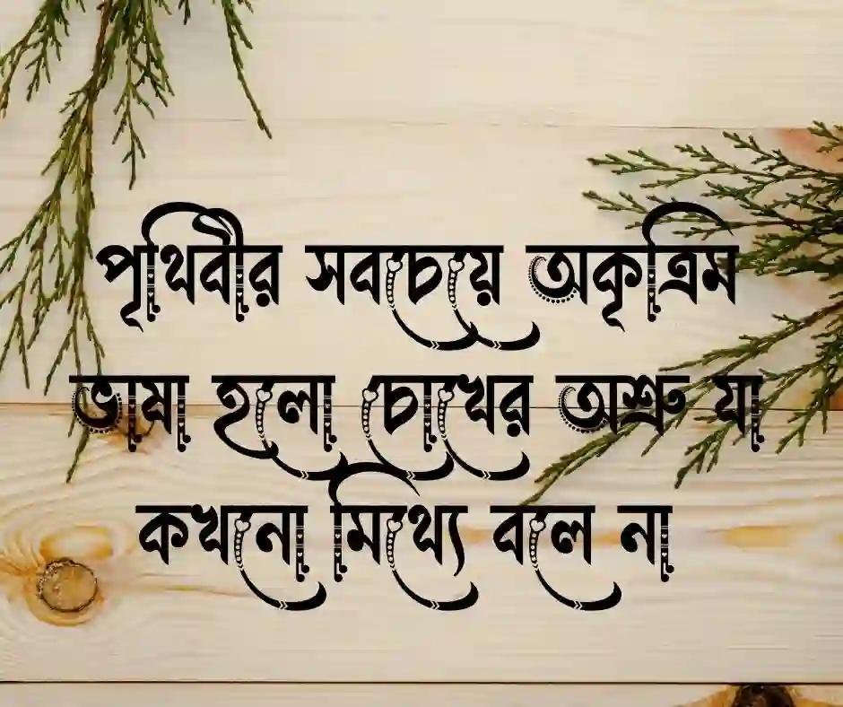 চোখের অশ্রু নিয়ে উক্তি