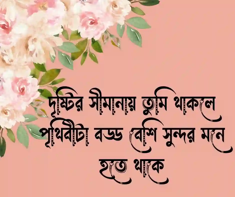 চোখ নিয়ে ক্যাপশন (2)