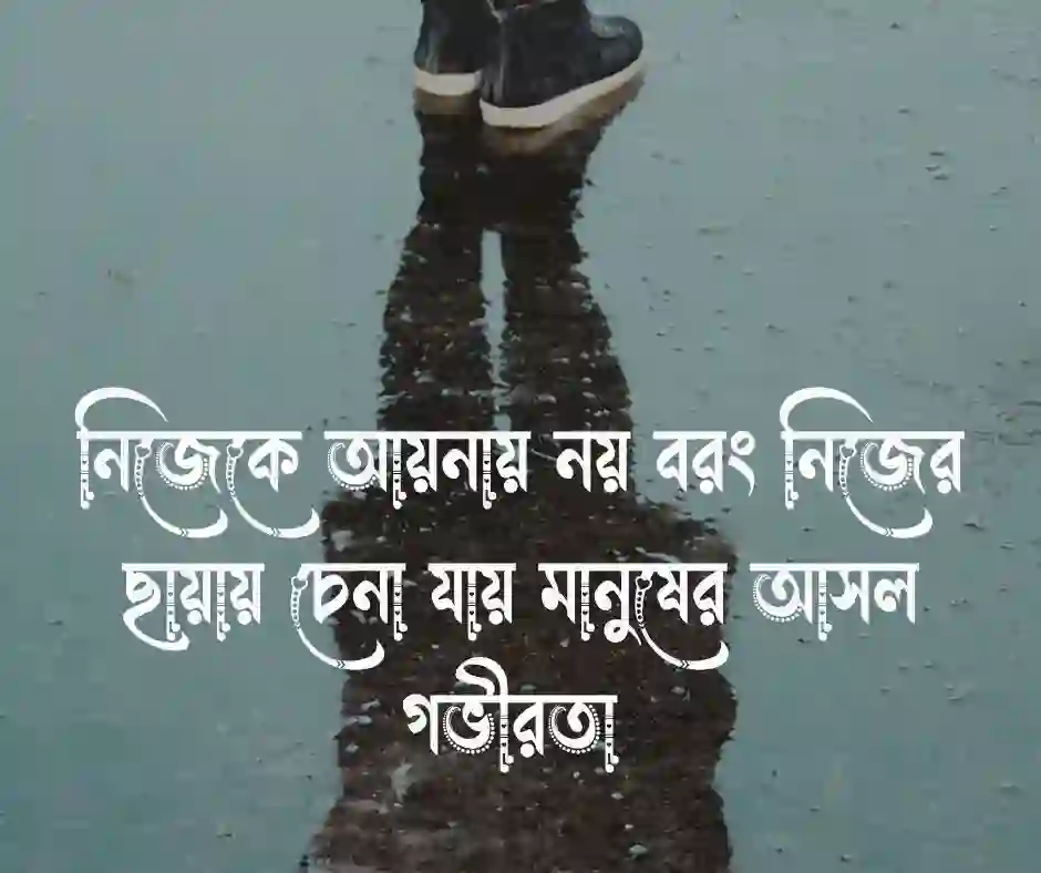 ছায়া নিয়ে উক্তি