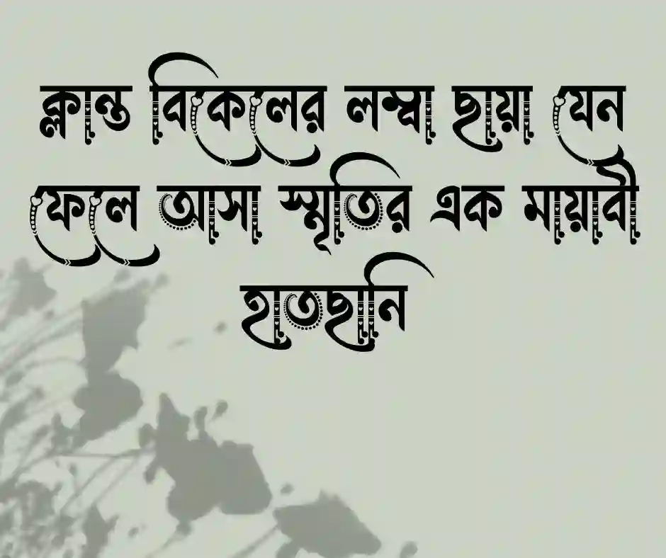 ছায়া নিয়ে ক্যাপশন