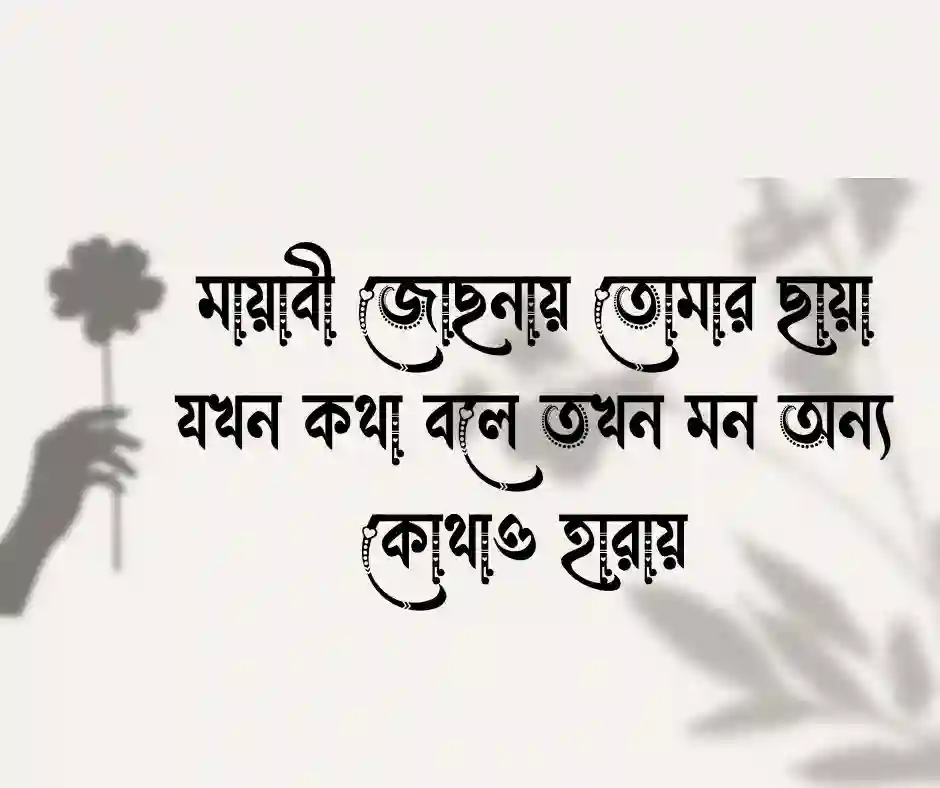 ছায়া নিয়ে ভালোবাসার ক্যাপশন