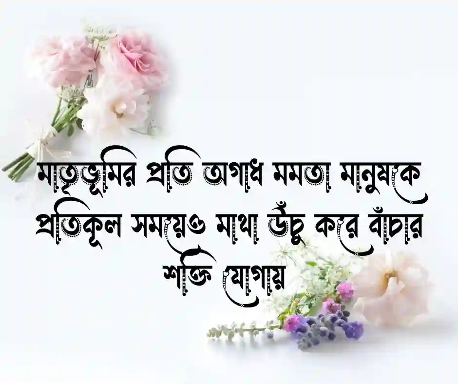 দেশ প্রেম নিয়ে উক্তি