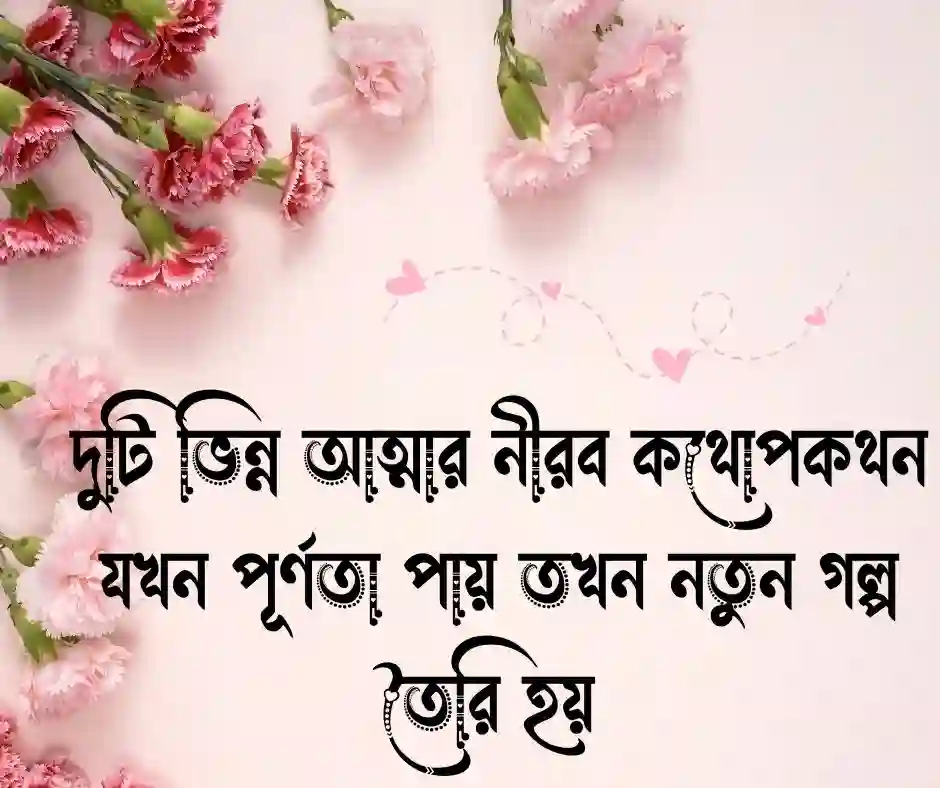 নতুন প্রেম নিয়ে উক্তি