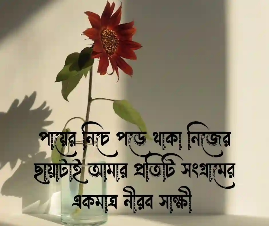 নিজের ছায়া নিয়ে ক্যাপশন বাংলা
