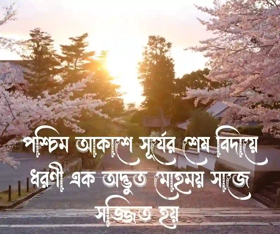 পড়ন্ত বিকেল নিয়ে ক্যাপশন