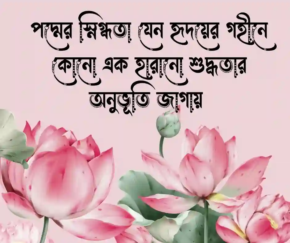 পদ্ম ফুল নিয়ে ক্যাপশন (1)