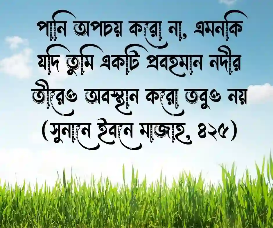 প্রকৃতি নিয়ে ইসলামিক ক্যাপশন