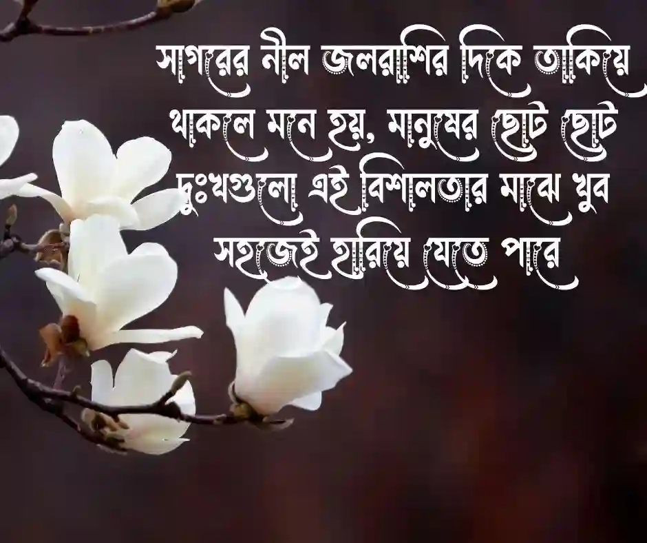 প্রকৃতি নিয়ে ক্যাপশন বাংলা