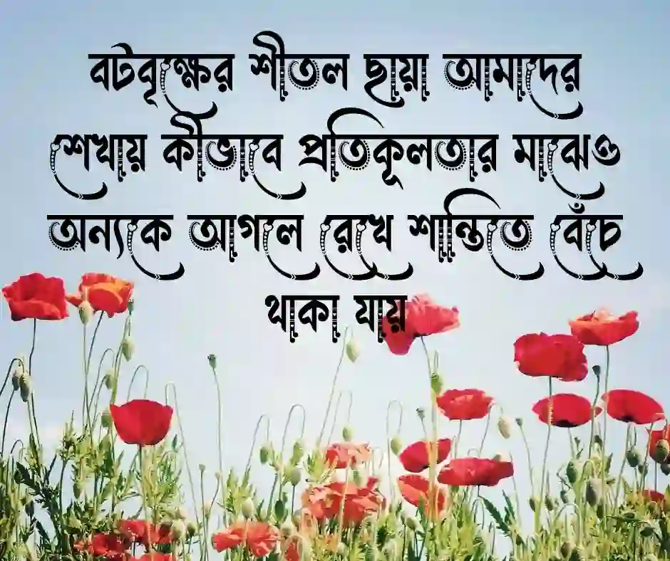 প্রকৃতি নিয়ে ক্যাপশন (1)