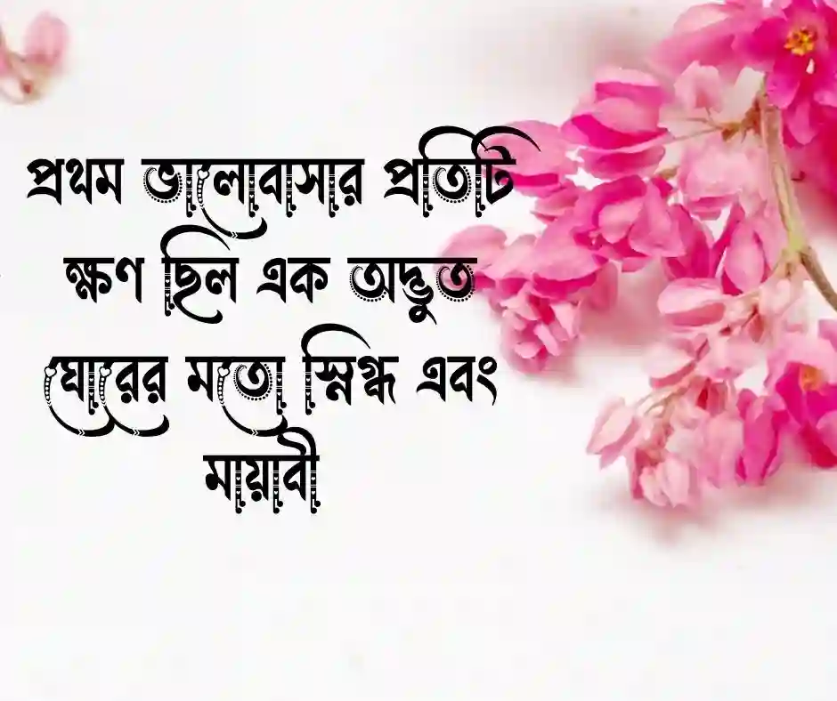 প্রথম প্রেম নিয়ে উক্তি