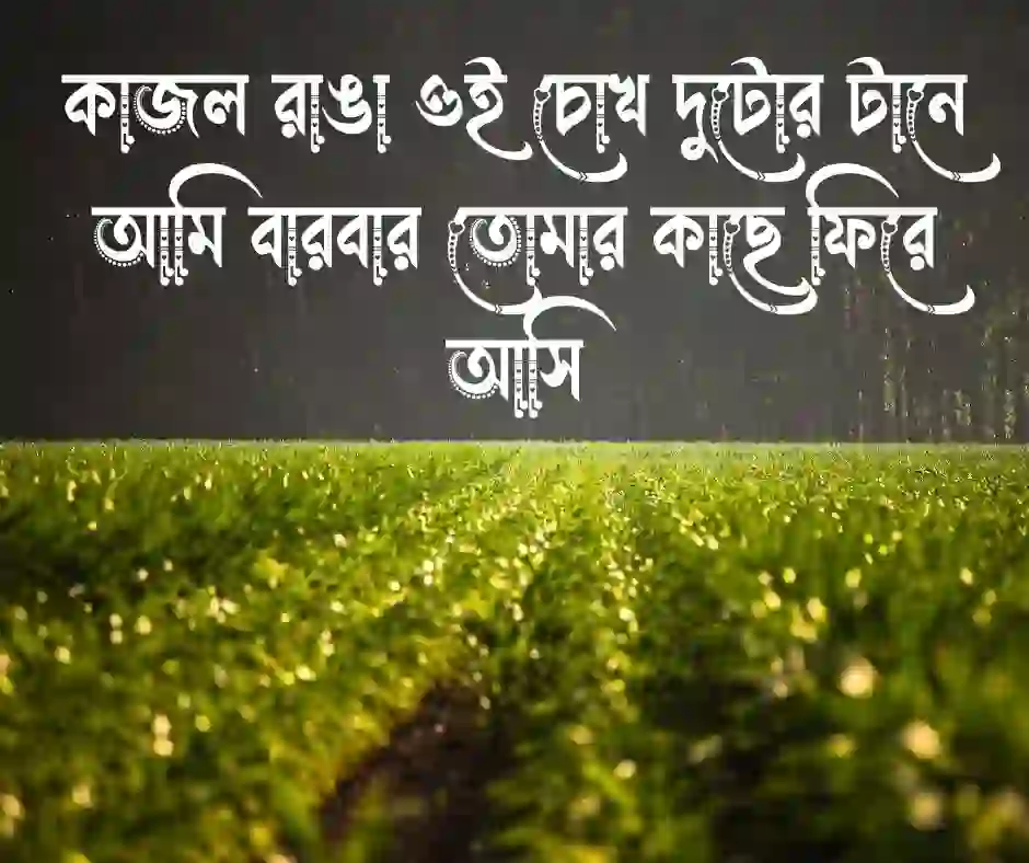 প্রেমিকার চোখ নিয়ে ক্যাপশন