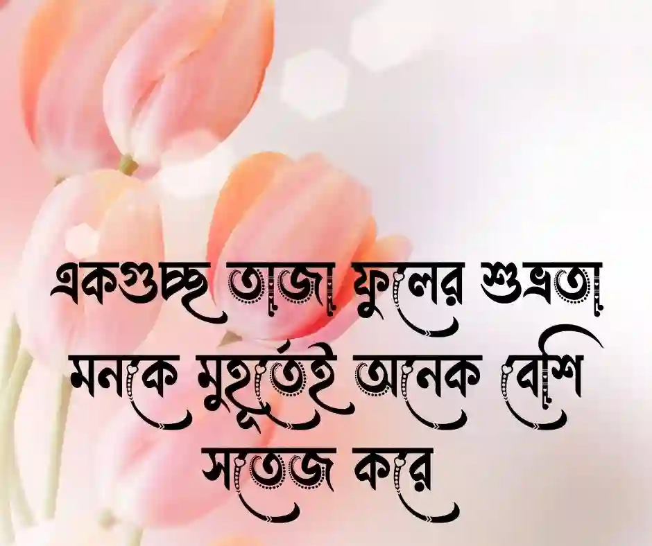 ফুল নিয়ে ক্যাপশন&nbsp;