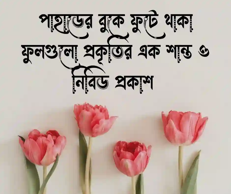 ফুল নিয়ে ক্যাপশন&nbsp; (1)