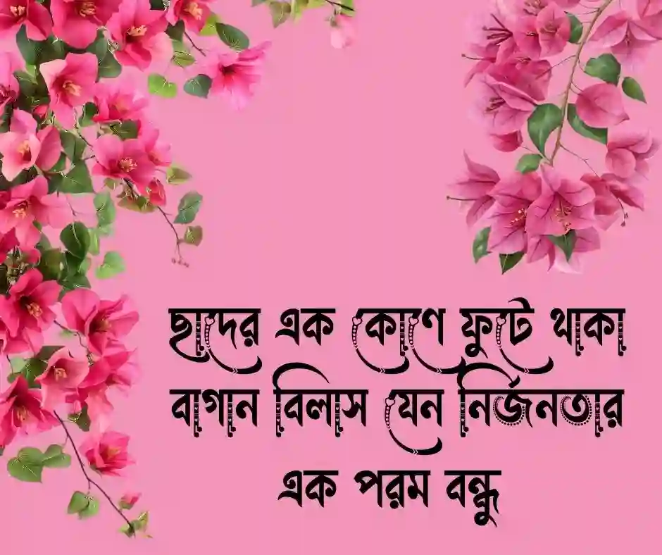 বাগান বিলাস ফুল নিয়ে ক্যাপশন
