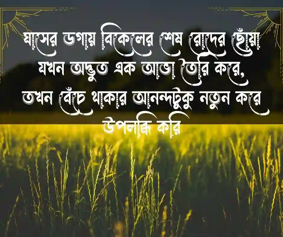 বিকেলের প্রকৃতি নিয়ে ক্যাপশন