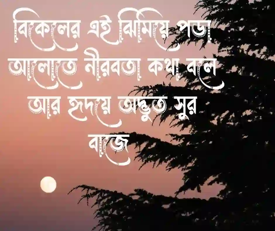 বিকেল নিয়ে ক্যাপশন (1)