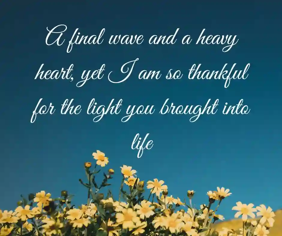 বিদায় নিয়ে ইংরেজি উক্তি