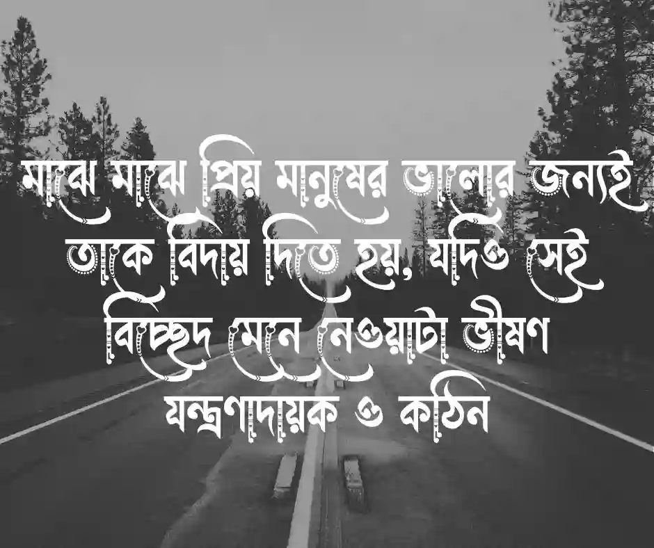 বিদায় নিয়ে উক্তি (1)