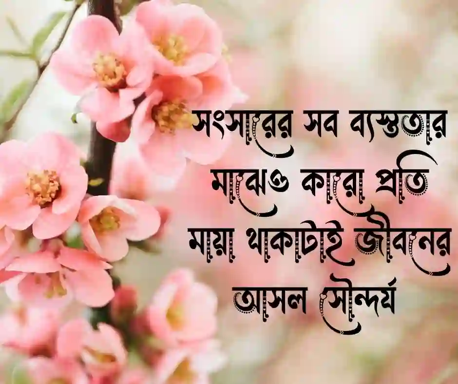 ভালোবাসার মায়া নিয়ে উক্তি