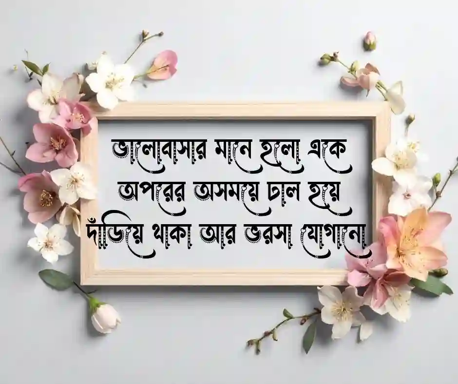 ভালোবাসার যত্ন নিয়ে উক্তি