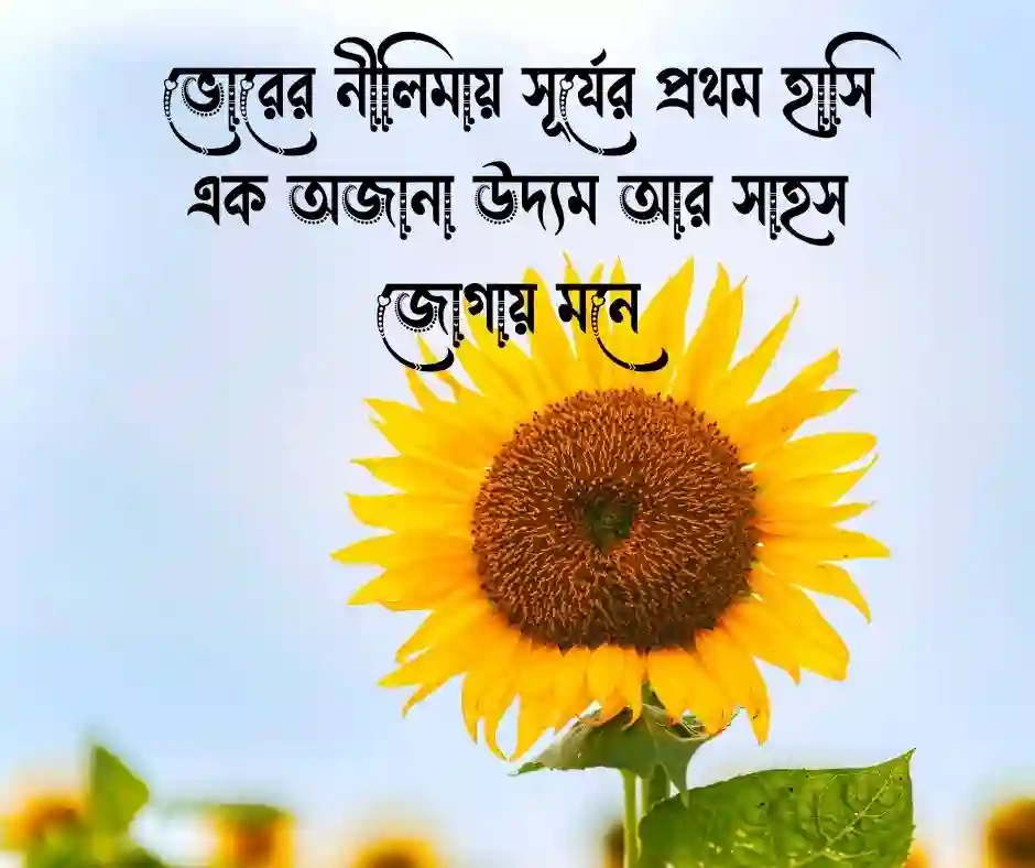 ভোরের আকাশ নিয়ে ক্যাপশন