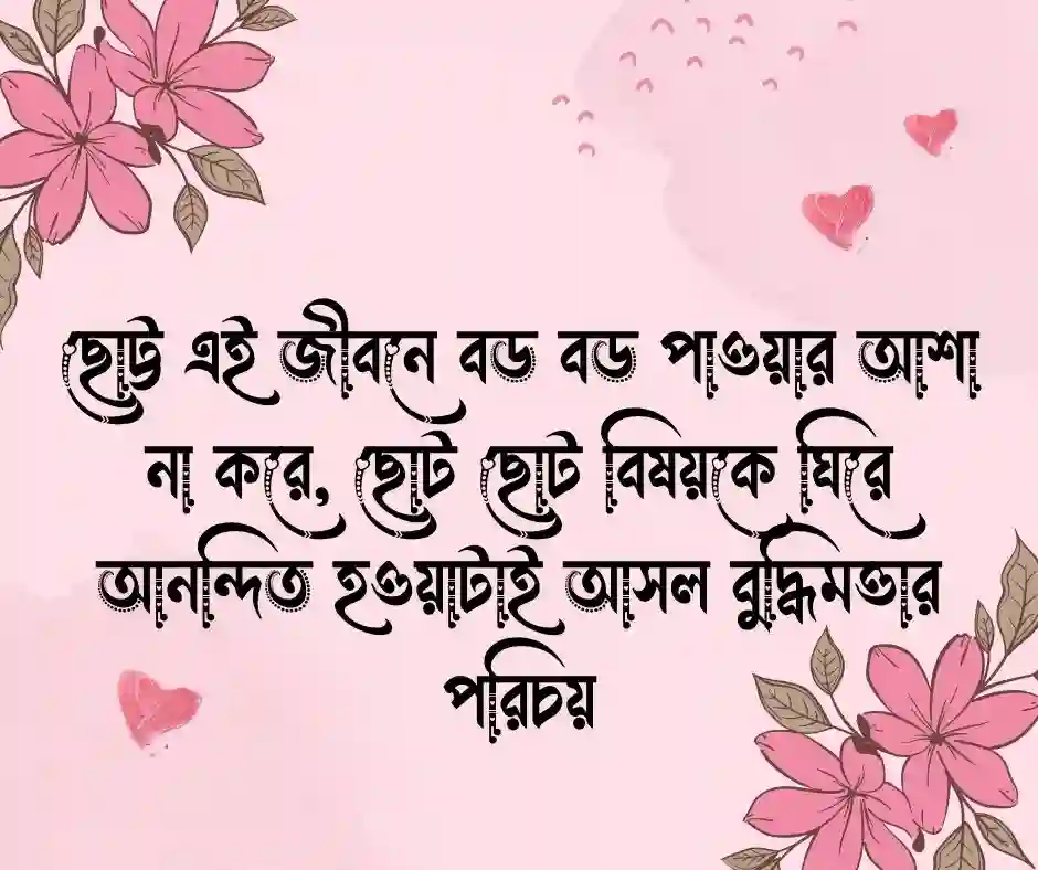 মনের আনন্দ নিয়ে উক্তি (2)