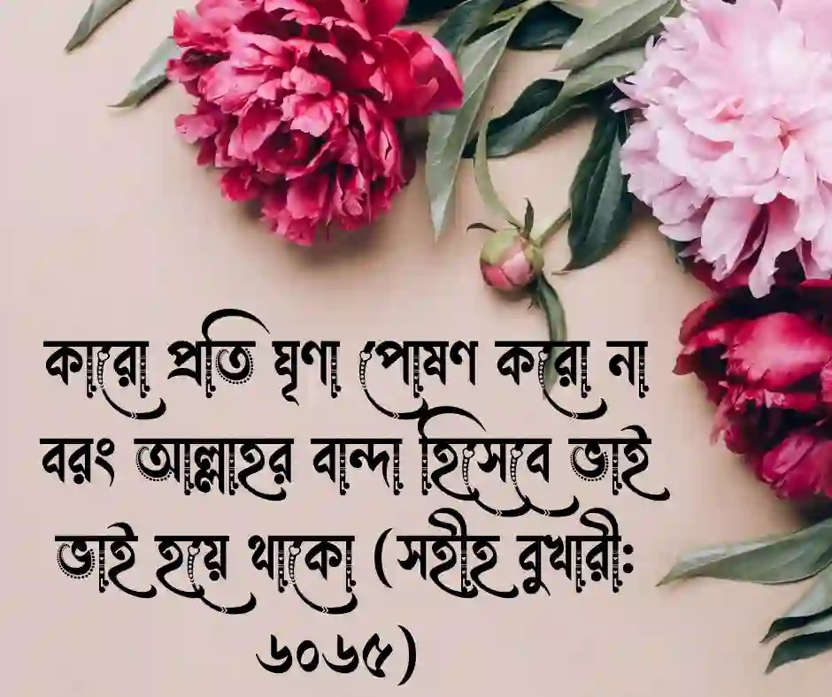 মায়া নিয়ে ইসলামিক উক্তি
