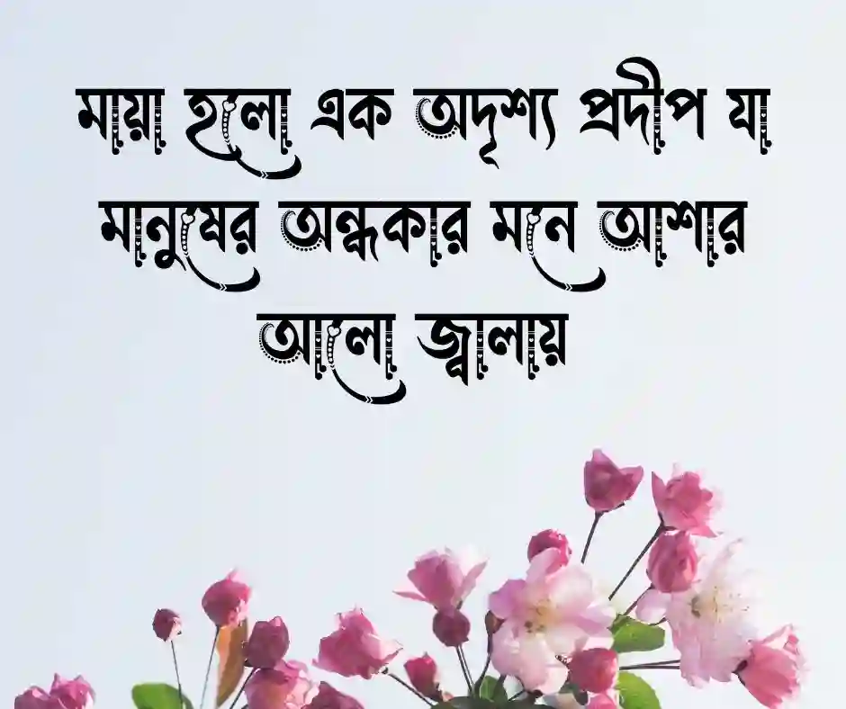 মায়া নিয়ে উক্তি (1)