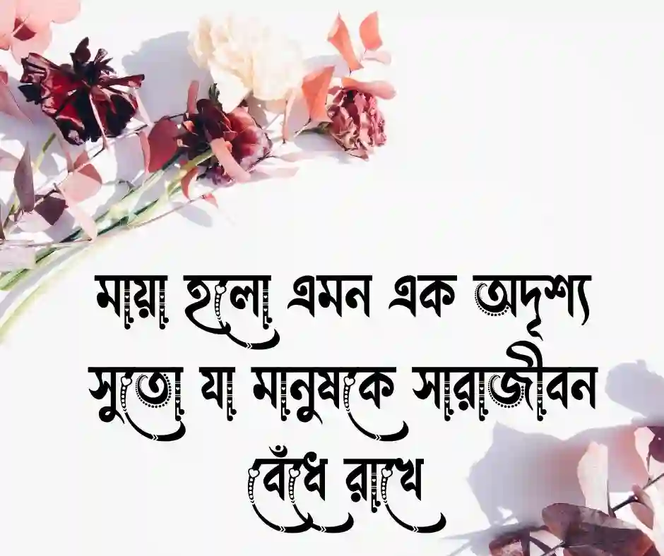 মায়া নিয়ে ক্যাপশন
