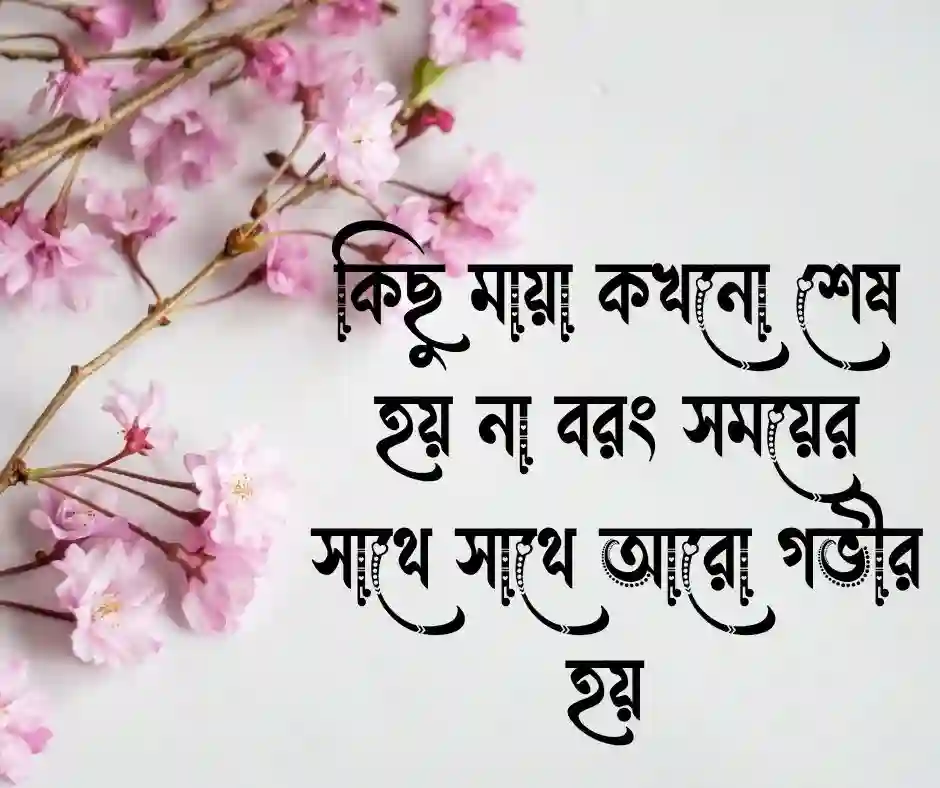 মায়া নিয়ে মেসেজ