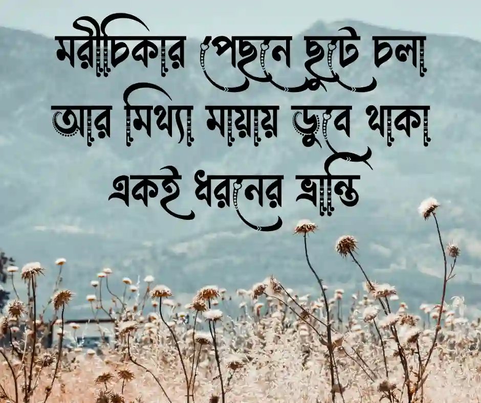 মিথ্যা মায়া নিয়ে উক্তি