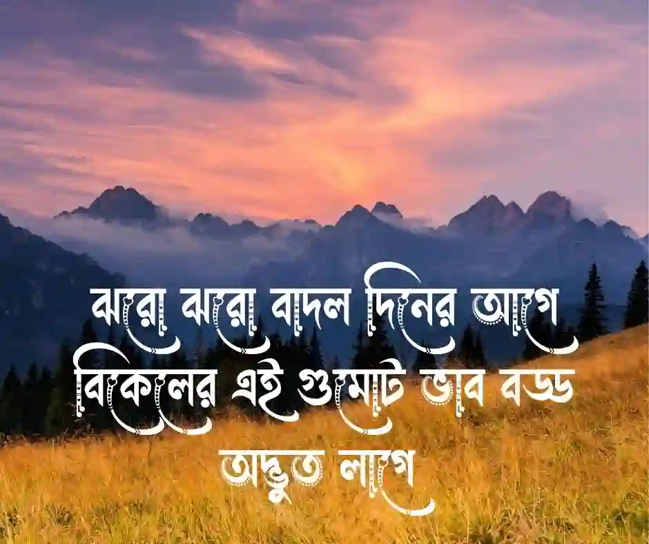 মেঘলা বিকেল নিয়ে ক্যাপশন