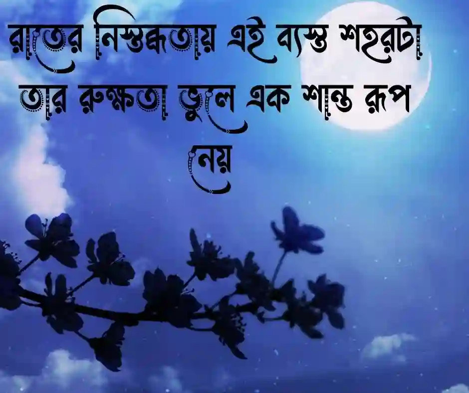 রাতের শহর নিয়ে ক্যাপশন (1)