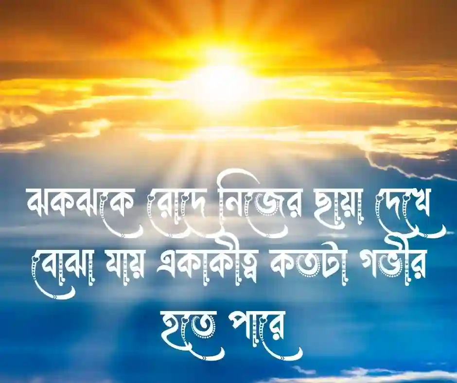রোদ ছায়া নিয়ে ক্যাপশন