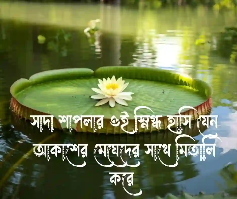 শাপলা ফুল নিয়ে ক্যাপশন (1)