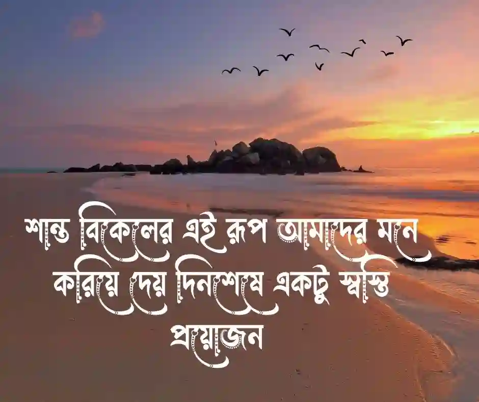 শুভ বিকেল নিয়ে উক্তি