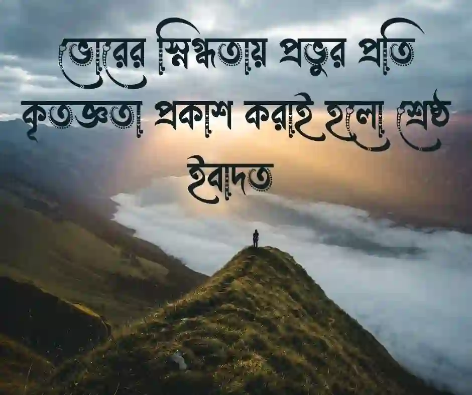 শুভ সকাল ইসলামিক স্ট্যাটাস