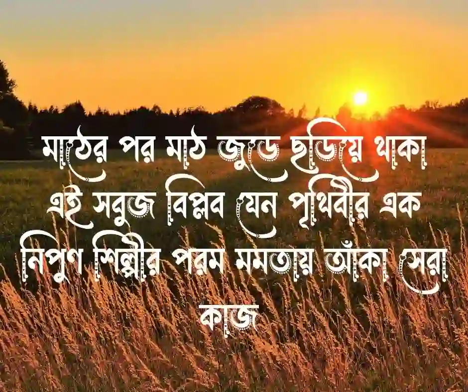সবুজ প্রকৃতি নিয়ে ক্যাপশন (1)