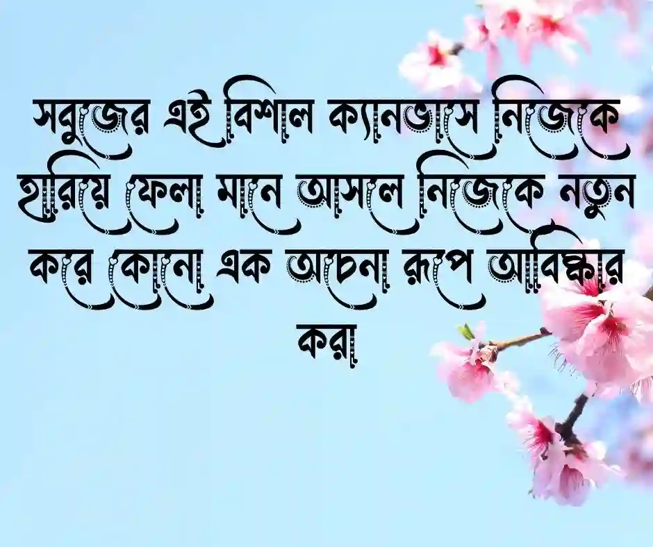 সবুজ প্রকৃতি নিয়ে ক্যাপশন (2)