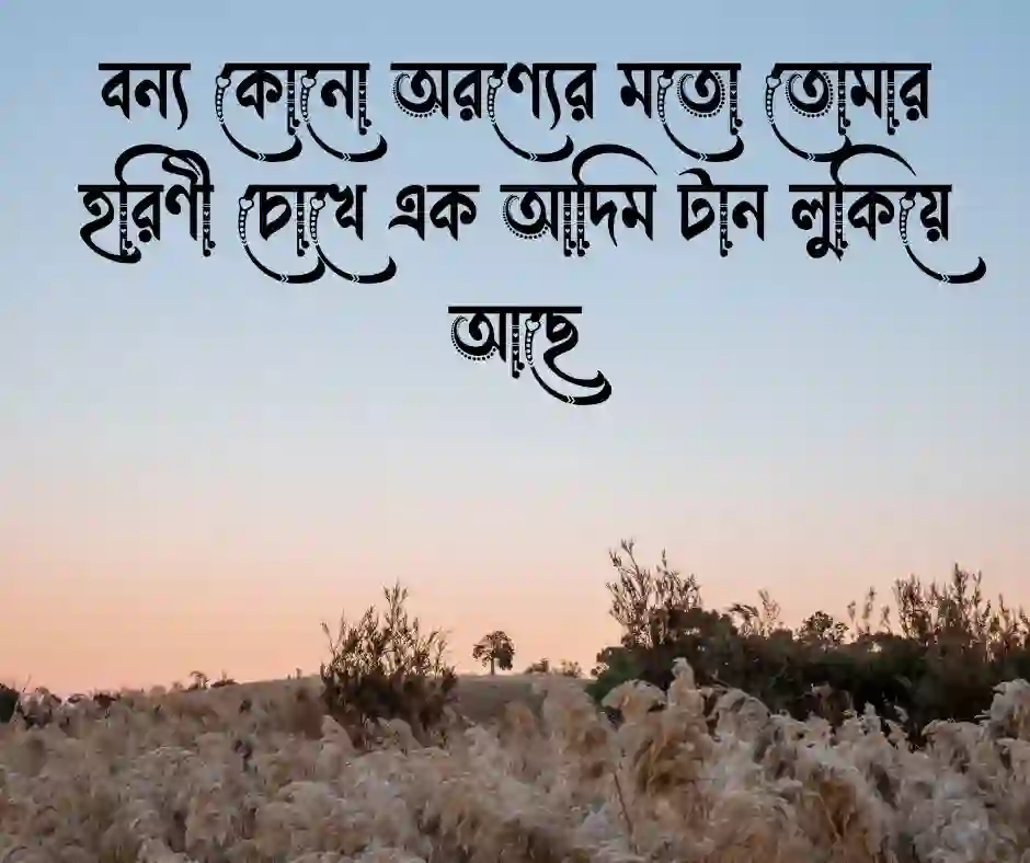হরিণী চোখ নিয়ে ক্যাপশন