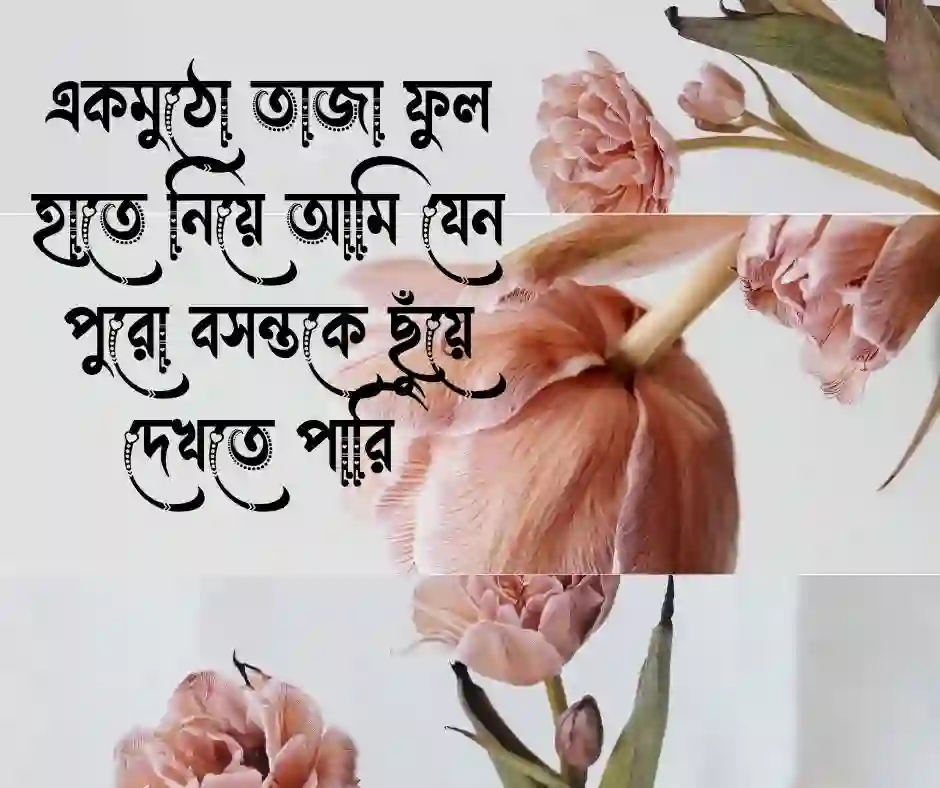হাতে ফুল নিয়ে পিকচার