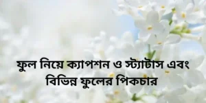 300+ ফুল নিয়ে ক্যাপশন ও স্ট্যাটাস এবং বিভিন্ন ফুলের পিকচার