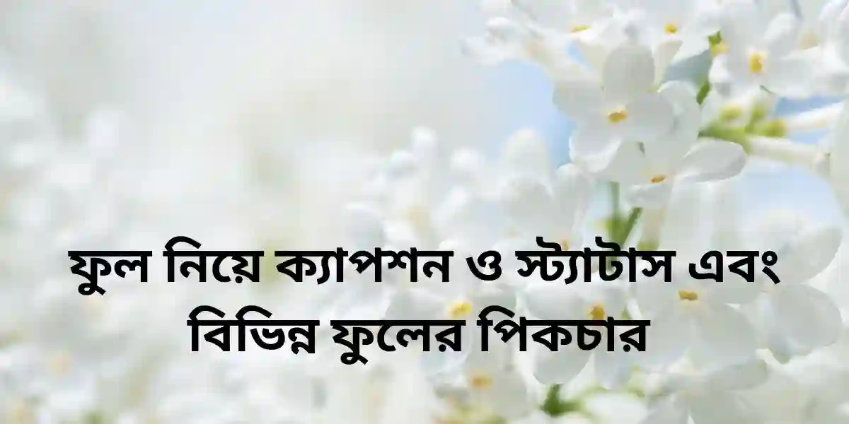 300+ ফুল নিয়ে ক্যাপশন ও স্ট্যাটাস এবং বিভিন্ন ফুলের পিকচার