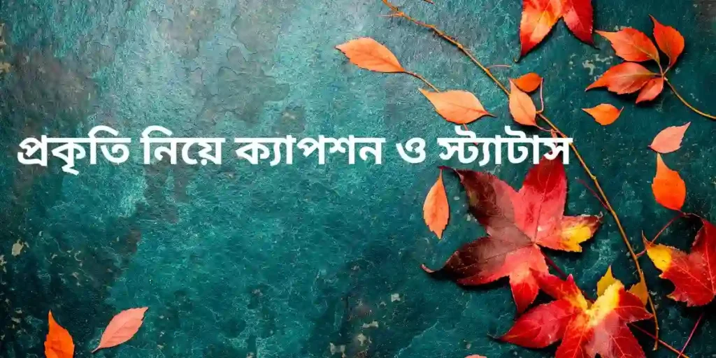 প্রকৃতি নিয়ে ক্যাপশন ও স্ট্যাটাস