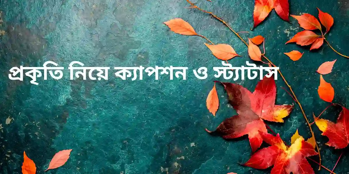 প্রকৃতি নিয়ে ক্যাপশন ও স্ট্যাটাস