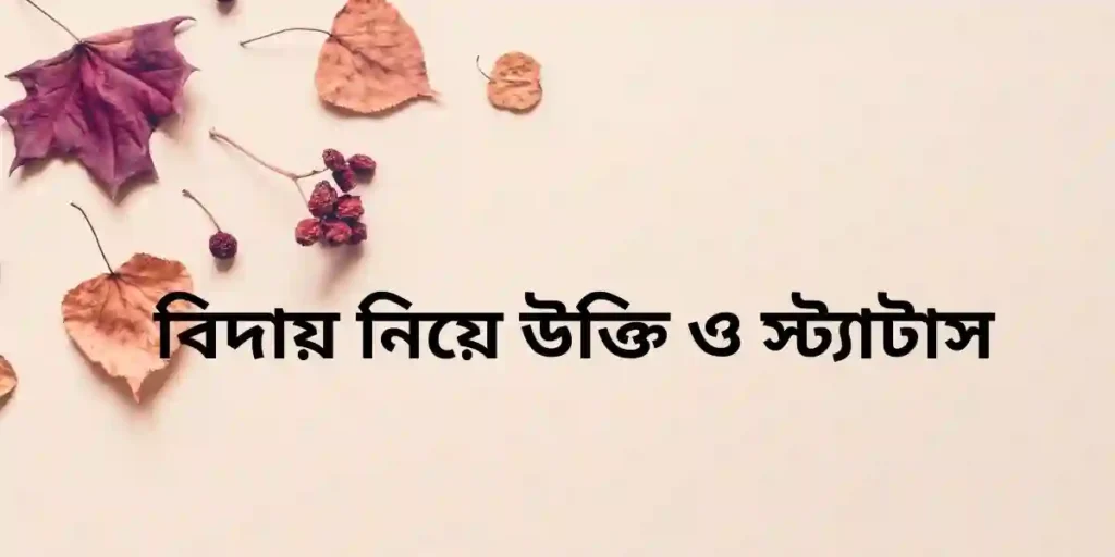 বিদায় নিয়ে উক্তি ও স্ট্যাটাস